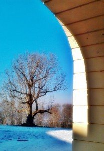 Das Schloss Solitude bei Stuttgart: Highlight mit Weitsicht 4 Schloss Solitude mit altem Baumbestand