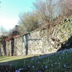 Burgruine Nippenburg - Außenmauer