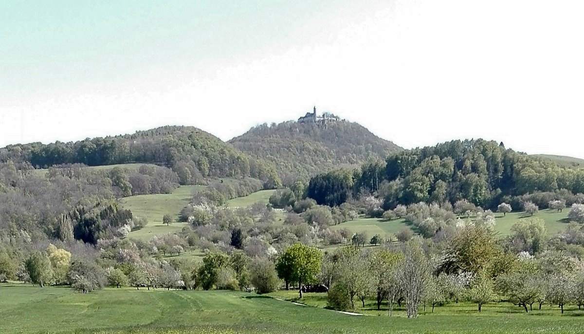 Burg Teck bei Owen - Fernansicht aus Richtung Dettingen