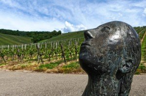 Skulpturenpfad Strümpfelbach - Blick in den Himmel