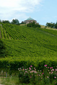 Grabkapelle in Stuttgart auf dem Württemberg - Blick über die Weinreben hinweg