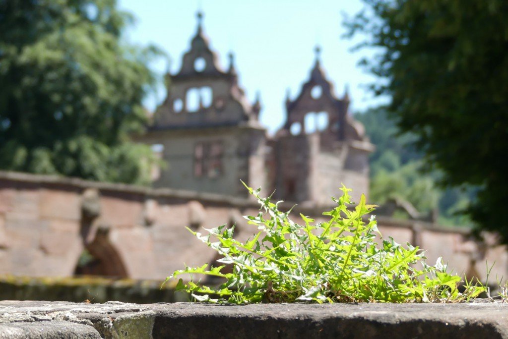 Das beeindruckende Kloster Hirsau – Historie soweit das Auge reicht