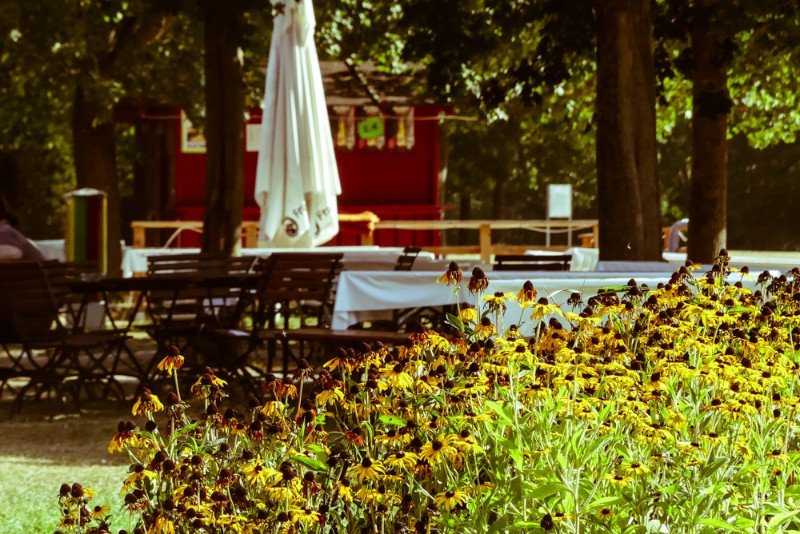 Biergarten-Cafe-Wiiesn-Sindelfingen-schattige-Sitzgelegenheiten-unter-der-Baumgruppe-1-von-1