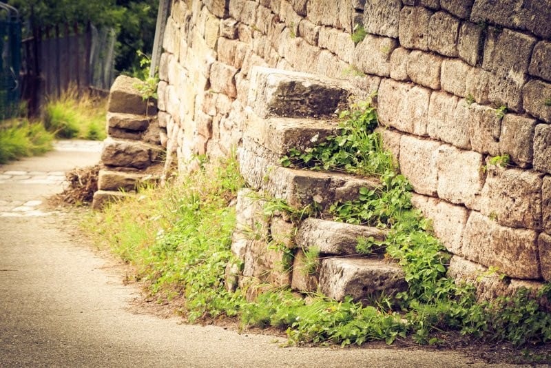 Schimmelhüttenweg Stuttgart - Weinwanderung durch eine kleine Idylle am Rand der Stadt