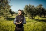 Taste of Koroni Olivenöl: ein Interview mit Marc Friederich Mayer 3 Taste of Koroni - Marc Friedrich Mayer im Olivenhain-1
