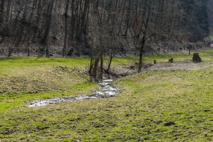 Gütersteiner Wasserfall bei Bad Urach: filigranes Kunstwerk der Natur 3 Gütersteiner Wasserfall- Wiesenbach auf dem Weg zum Vorwerk Güterstein