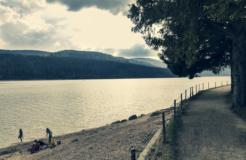 Hochschwarzwald - 3-Seen-Tour - der Schluchsee als Badesee