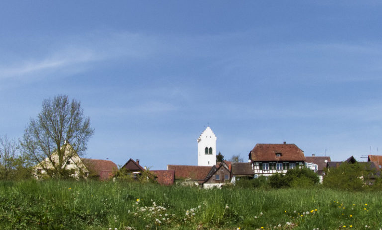 Spetzgarter Tobel: Highlight am Rande Überlingens 4 Spetzgarter Tobel Spaziergang Richtung Aufkirch 768x462