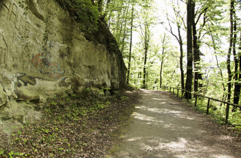 Spetzgarter Tobel: Highlight am Rande Überlingens 3 Spetzgarter Tobel bei Überlingen Typische Felsformation 768x504