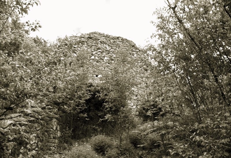 3 Tipps für deine Wanderung rund um die Wimsener Höhle 8 Wanderung rund um die Wimsener Höhle - Glastal- die Burgruine Alt-Ehrenfels