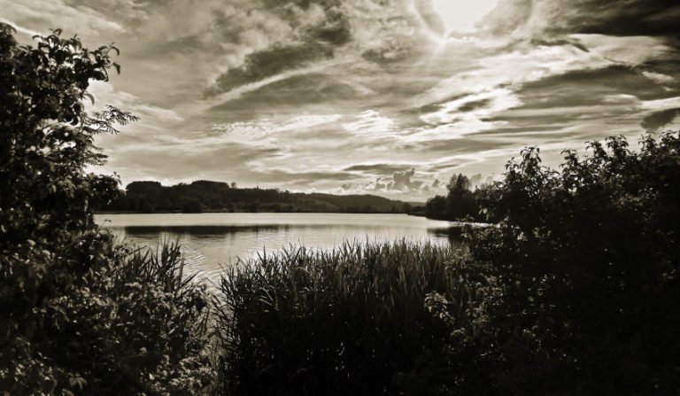 Die Zielfinger Seen - Anglersee, Badesee, Naherholungsgebiet Die Zielfinger Seen - Anglersee, Badesee, Naherholungsgebiet