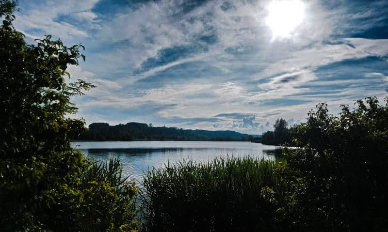 Zielfinger Seen - ein Blick über das Landschaftsschutzgebiet Vogelsee