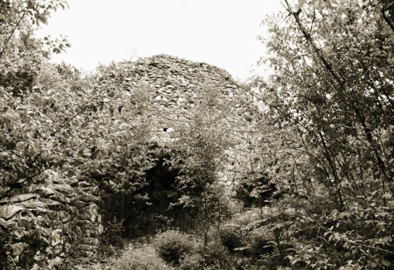 Burgruine Alt-Ehrenfels - kaum mehr etwas zu sehen Burgruine Alt-Ehrenfels - kaum mehr etwas zu sehen