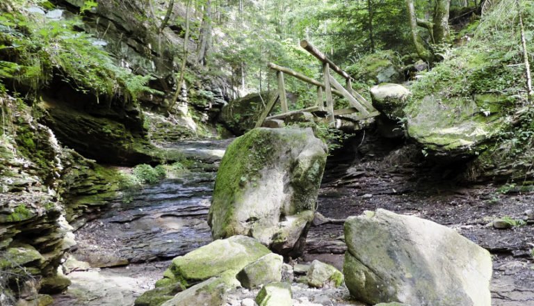 Die Wolfsschlucht bei Calw - Blick über eine alte Holzbrücke Die Wolfsschlucht bei Calw - Blick über eine alte Holzbrücke