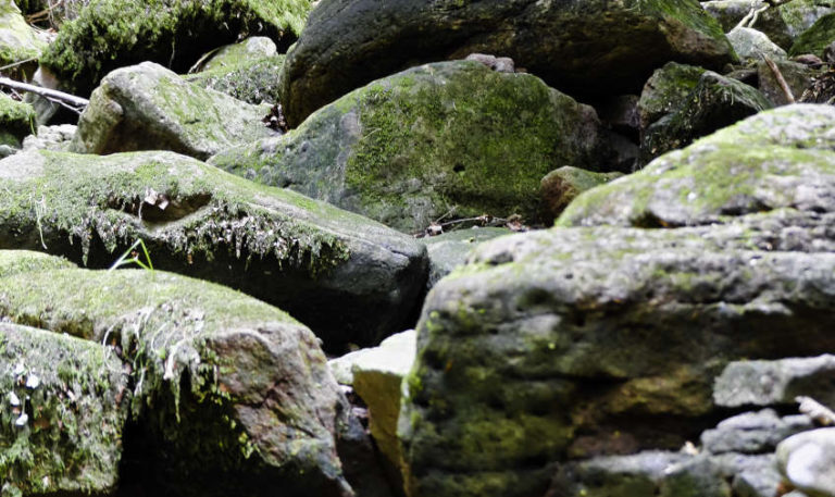 Die Wolfsschlucht bei Calw - vom Wasser glatt geschliffene Steine im Bachbett