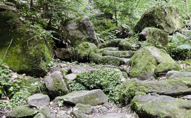 Die Wolfsschlucht bei Calw - leider zu wenig Wasser unterwegs