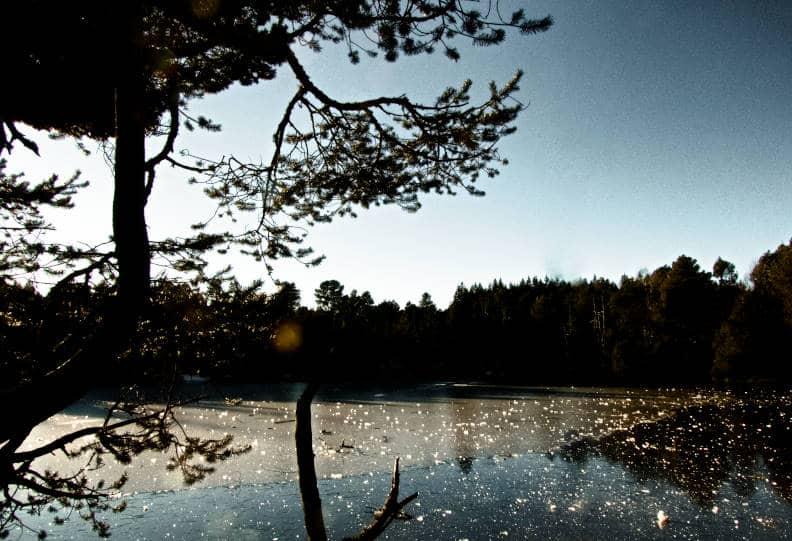 Der Blindensee bei Schonach im Schwarzwald mit dem Wow-Effekt 1 Blindensee bei Triberg - ohne Windrad im Hintergrund