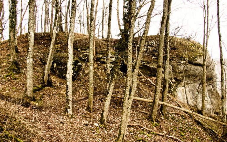 Die Heimsteinhöhle bei Neidlingen - Blick aus Richtung Süden auf den Eingang
