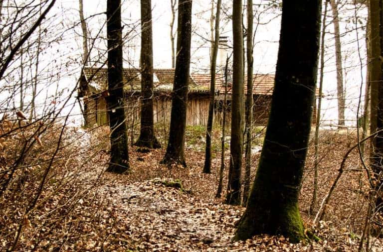 Hindenburghütte - Schutzhütte oberhalb von Neidlingen Hindenburghütte - Schutzhütte oberhalb von Neidlingen