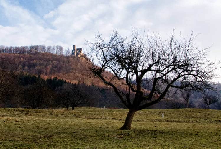 Wanderung bei Neidlingen - Blick aus dem Tal hoch zur Ruine Reußenstein
