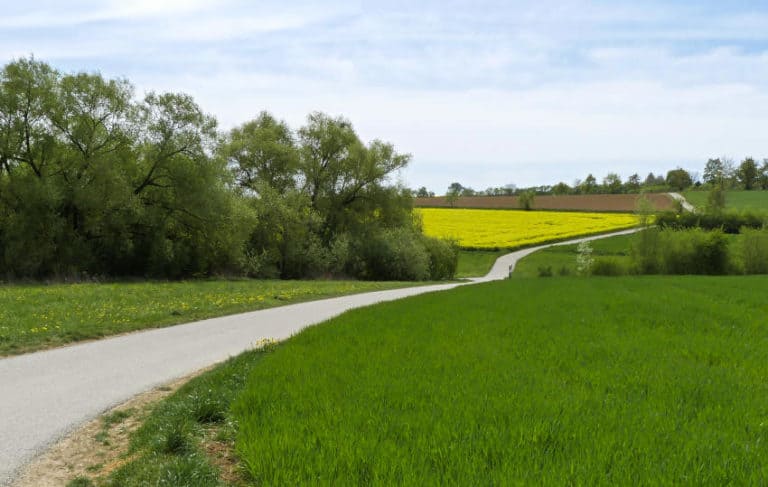Die Ammerquelle bei Herrenberg - links innerhalb der Baumgruppe versteckt sie sich Die Ammerquelle bei Herrenberg - links innerhalb der Baumgruppe versteckt sie sich