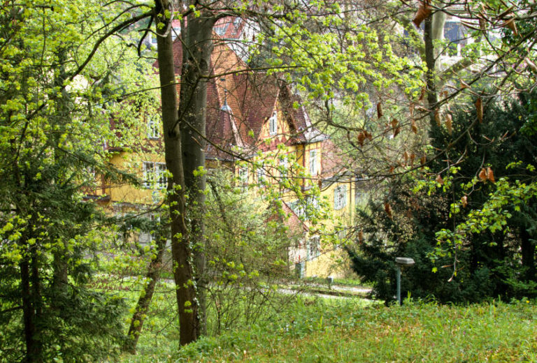 Palmsches Schloss Stuttgart - Blick aus dem Park auf das Ensemble Palmsches Schloss Stuttgart - Blick aus dem Park auf das Ensemble