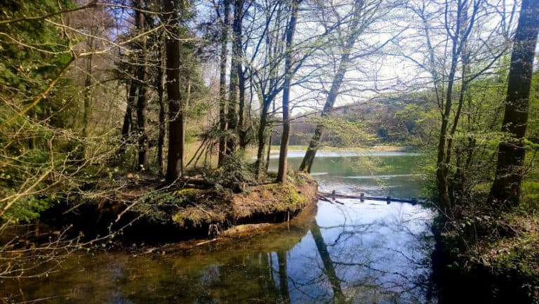 Paulinensee - Blick über das Wasser vom Zufluss Paulinensee - Blick über das Wasser vom Zufluss
