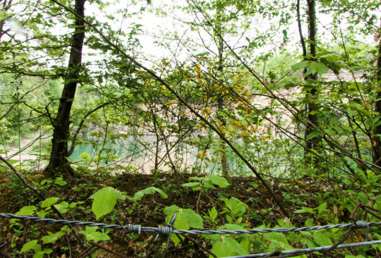 Tauchsteinsee bei Talfeld - wenn du am liebsten über den Zaun steigen würdest - und es nicht tust
