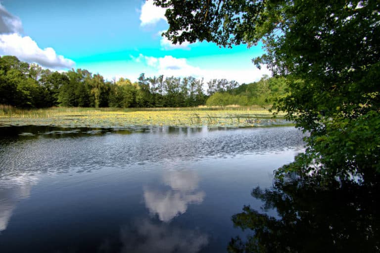 Bleichsee bei Löwenstein - inzwischen längst eine Perle dar Natur Bleichsee bei Löwenstein - inzwischen längst eine Perle dar Natur