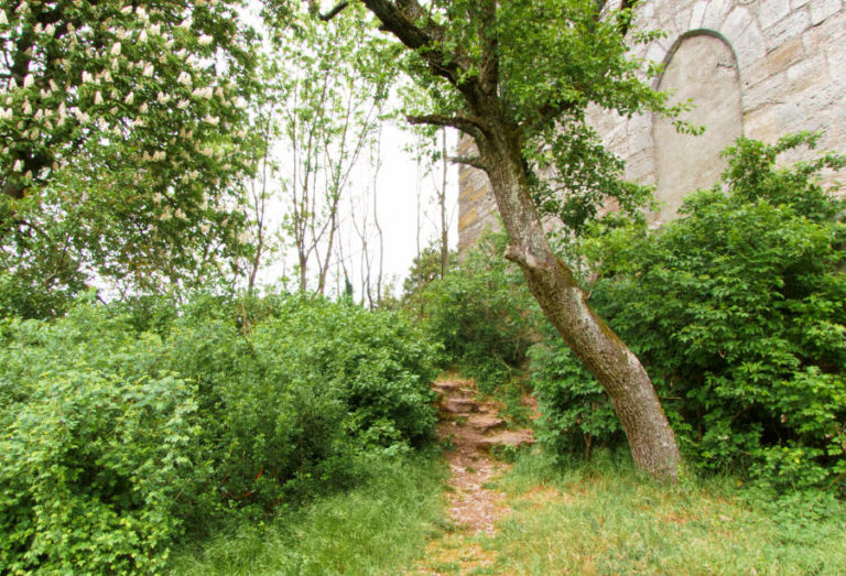 Burgruine Helfenberg - seitlich vorbei einmal um den Turm Burgruine Helfenberg - seitlich vorbei einmal um den Turm