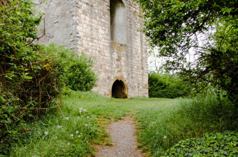 Burgruine Helfenberg - zwischen Bäumen durch geht es zum Turm Burgruine Helfenberg - zwischen Bäumen durch geht es zum Turm