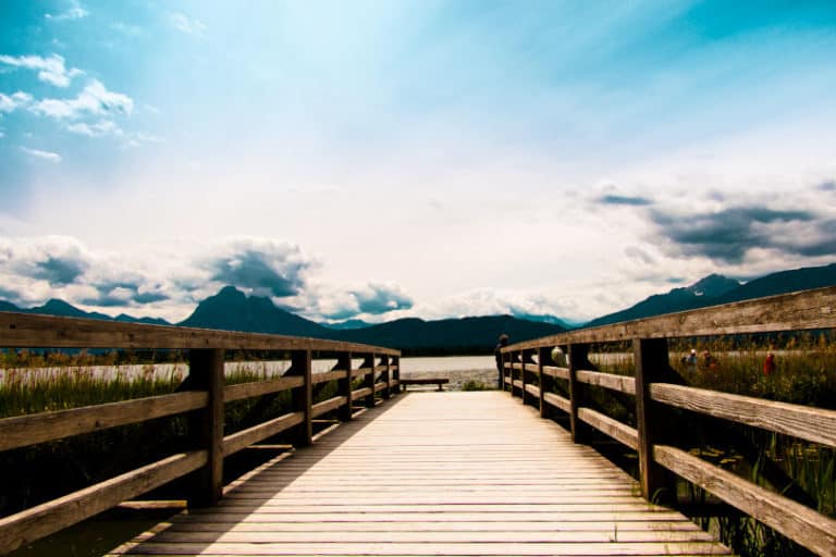 Hopfensee Rundweg - immer wieder faszinierende Bergsilhouetten im Hintergrund Hopfensee Rundweg - immer wieder faszinierende Bergsilhouetten im Hintergrund