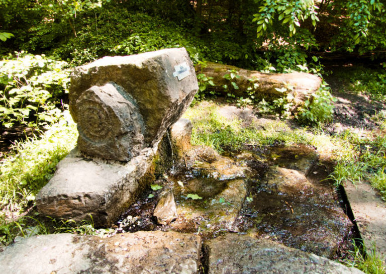 Glems-Quelle bei Stuttgart - da plätschert sie aus dem Stein Glems-Quelle bei Stuttgart - da plätschert sie aus dem Stein