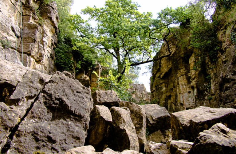 Hessigheimer Felsengärten - rauhe Schönheit bei Besigheim hoch über dem Neckar Hessigheimer Felsengärten - rauhe Schönheit bei Besigheim hoch über dem Neckar