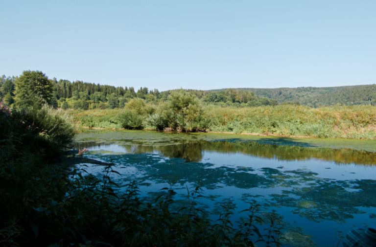 Die Donauversickerung Immendingen - auf dem Weg zur Versickerung Die Donauversickerung Immendingen - auf dem Weg zur Versickerung