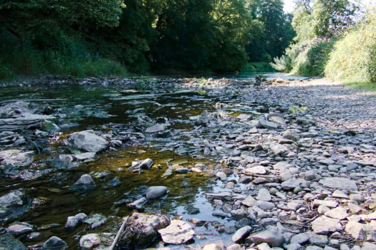 Die Donauversickerung Immendingen - und irgendwann verschwindet der Fluß Die Donauversickerung Immendingen - und irgendwann verschwindet der Fluß
