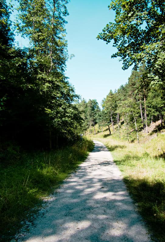 Der Höwenegg Kratersee: eine Wanderung bis zum Zaun der Zeit 1 Höwenegg Kratersee - ein Waldspaziergang mit kühlen Schattenflächen