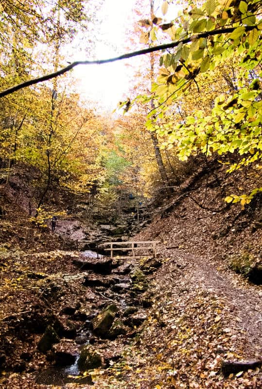 Heslacher Wasserfälle bei Stuttgart - geniale Herbststimmung
