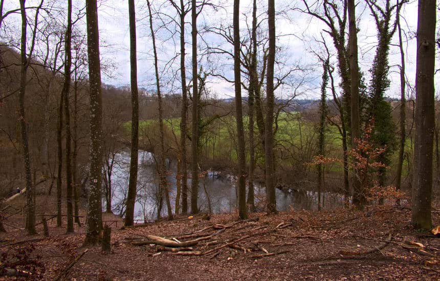 Das Leudelbachtal am Ende der Tour mit dem Enzzufluss