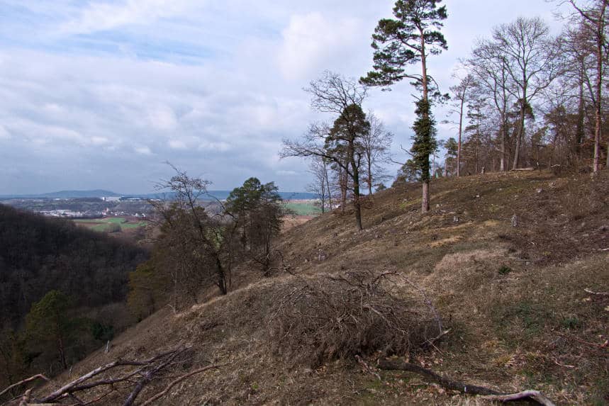 Leudelsbachtal - Aussicht vom Oberen Wannenberg