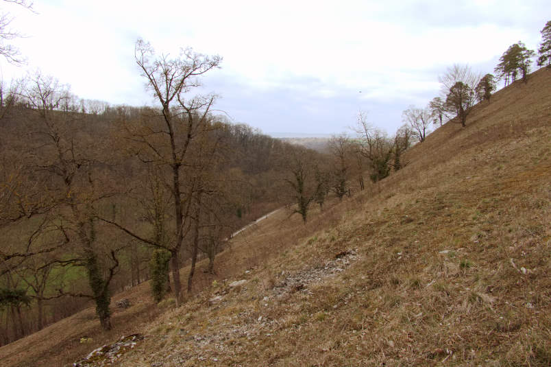 Leudelsbachtal - Faszination Heidelandschaft oberhalb des Tals