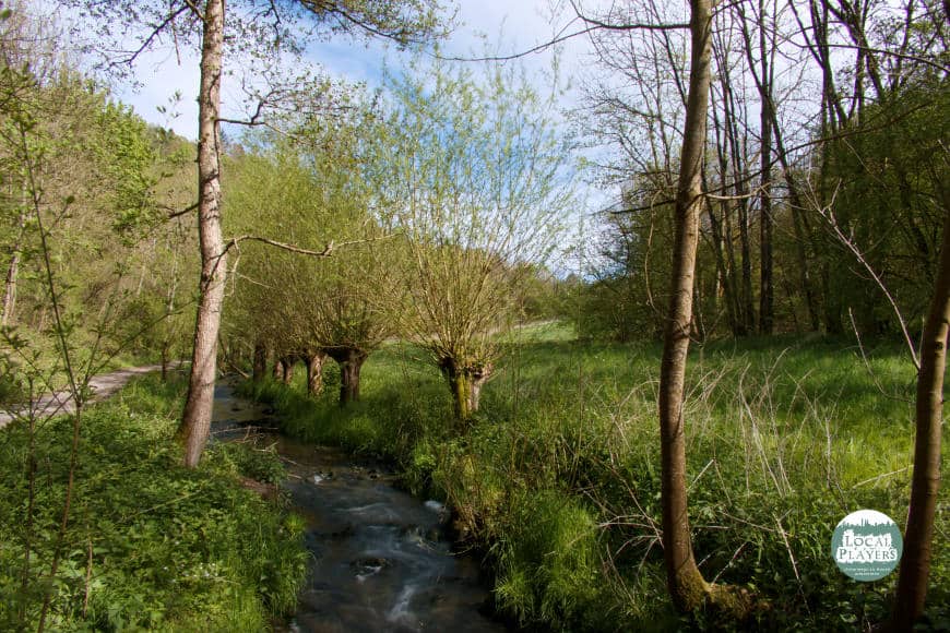 Leudelsbachtal bei Markgröningen - Blick am Bach entlang durch das Tal
