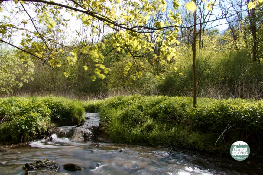 Leudelsbachtal bei Markgröningen - das Wasser bahnt sich seinen weg durch sattes grün