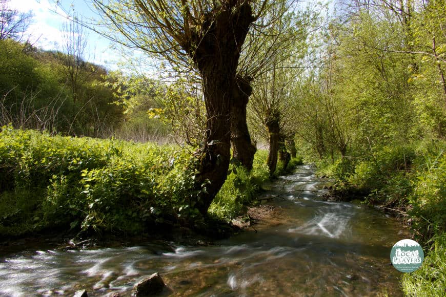 Leudelsbachtal bei Markgröningen - frühlingshafte Natur auf dem Weg zum Sommer