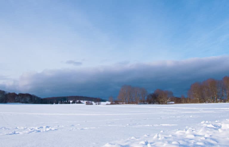 Schopflocher Moor - Schneestimmung im Januar Schopflocher Moor - Schneestimmung im Januar
