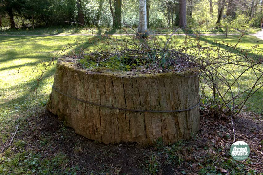 Der Schlosspark Donaueschingen mit fürstlichem Ambiente 4 Schlosspark Donaueschingen - ein Baumstumpf als Kunstwerk