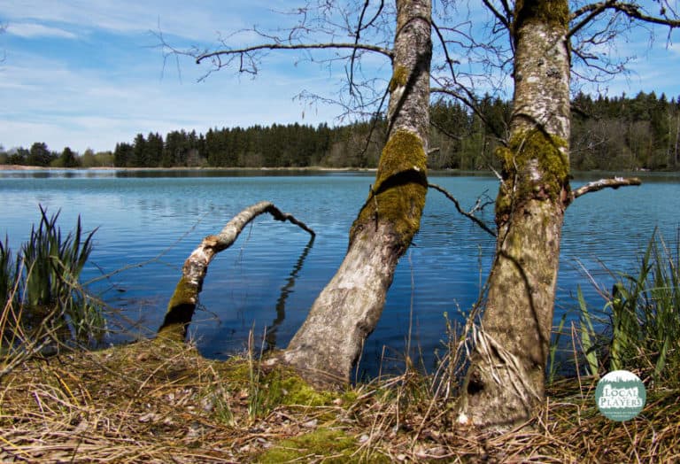 Der Riedsee Donaueschingen - Naturschauspiel und Badesee Der Riedsee Donaueschingen - Naturschauspiel und Badesee