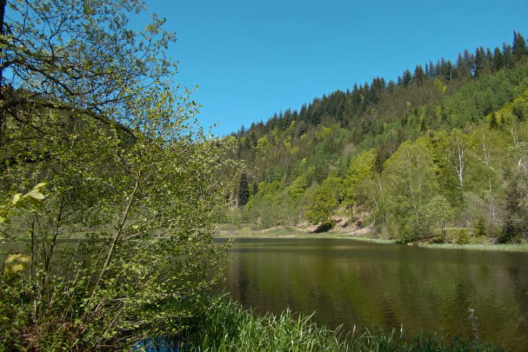 Der Senkenbachsee bei Baiersbronn - ein Ausflugsziel mitten in der Natur Der Senkenbachsee bei Baiersbronn - ein Ausflugsziel mitten in der Natur