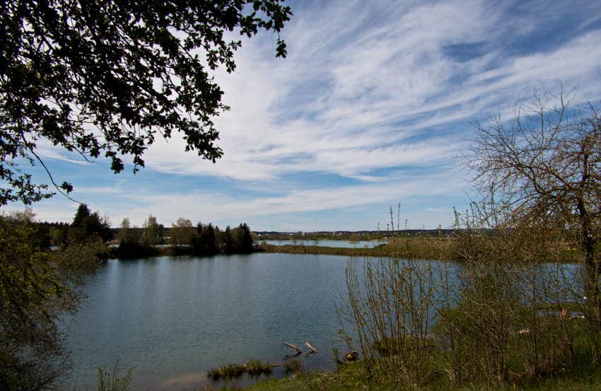 Riedsee Donaueschingen - Blick von der Nordseite aus über die Seen