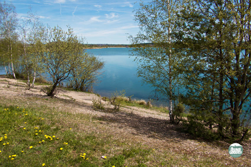 Riedsee Donaueschingen - immer ein neuer Blick bei der Umrundung